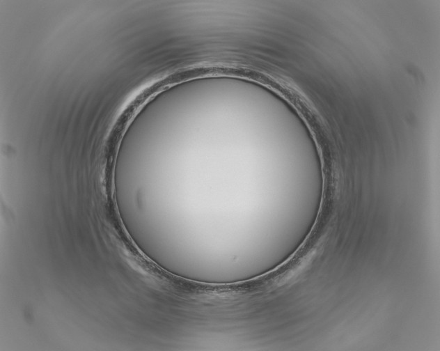 X0000090970830200708021140