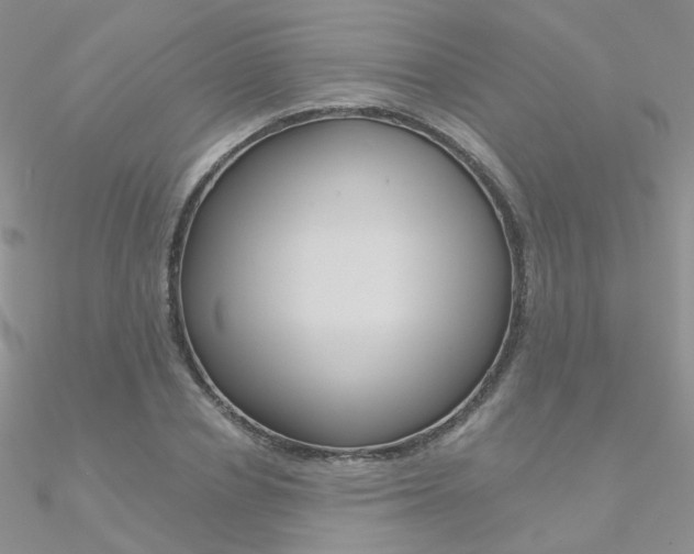 X0000090970834200708021140