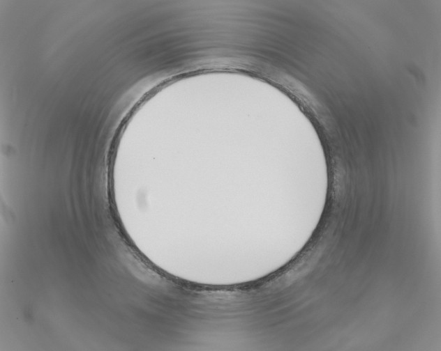 X0000090970836200708021141