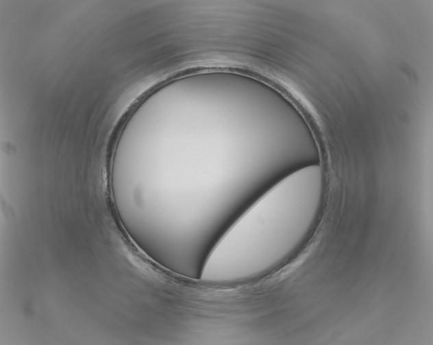X0000090970837200708021141
