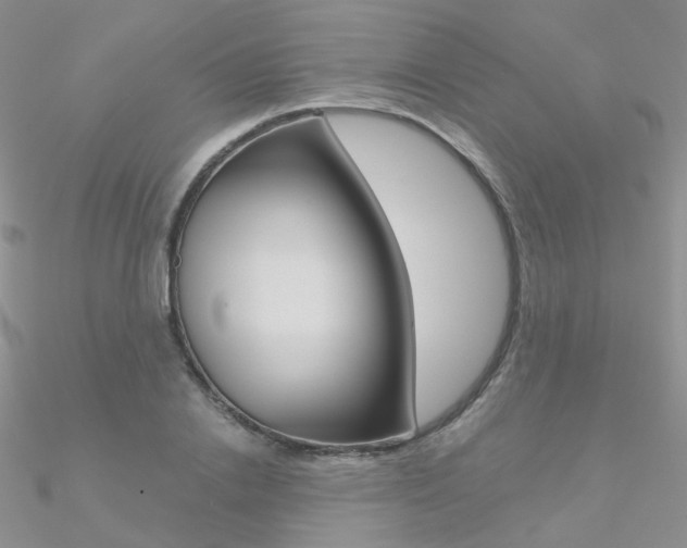 X0000090970838200708021141