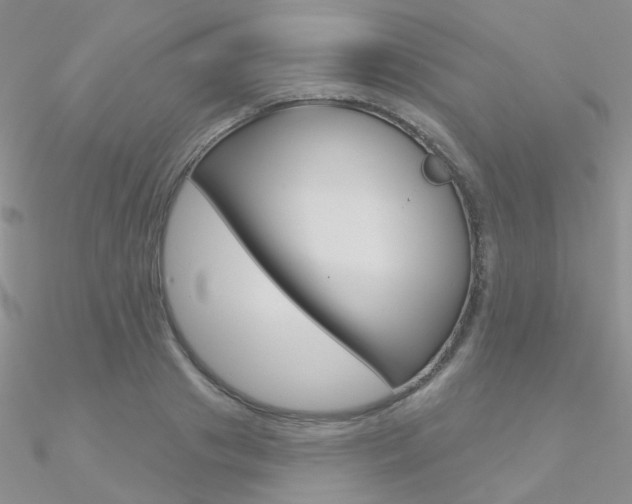 X0000090970841200708021141