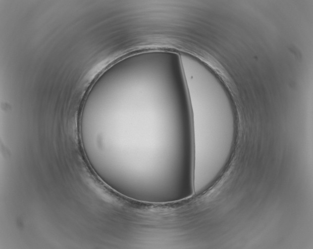 X0000090970842200708021141