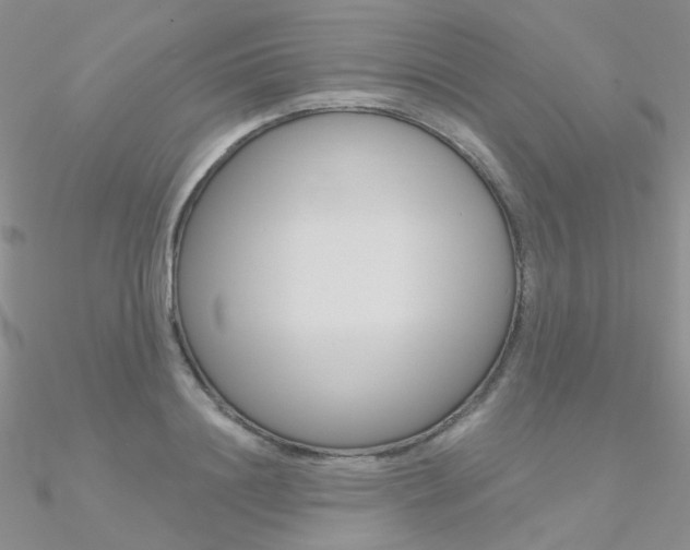 X0000090970844200708021141