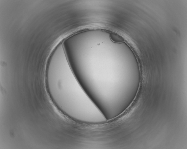 X0000090970845200708021141