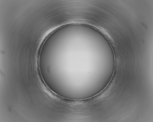 X0000090970846200708021141