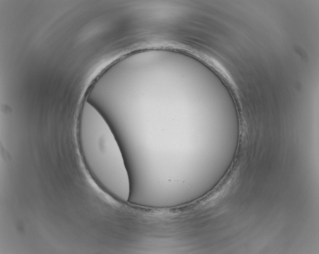 X0000090970847200708021141