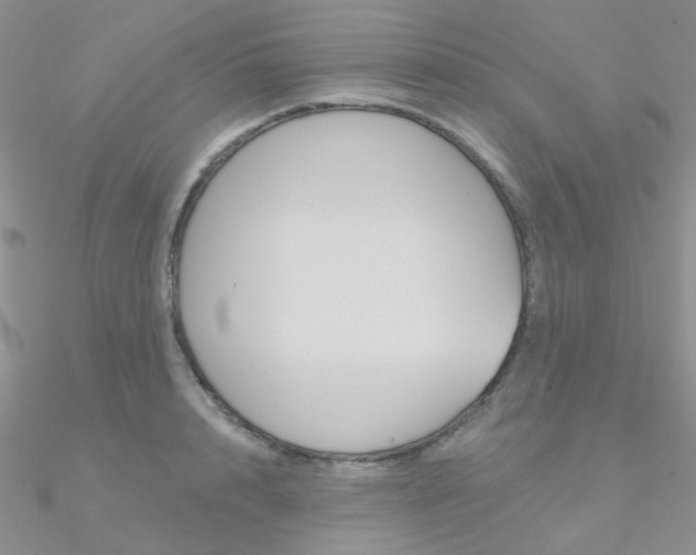 X0000090970848200708021141