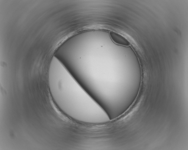 X0000090970849200708021141