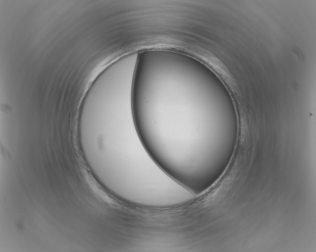 X0000090970850200708021141