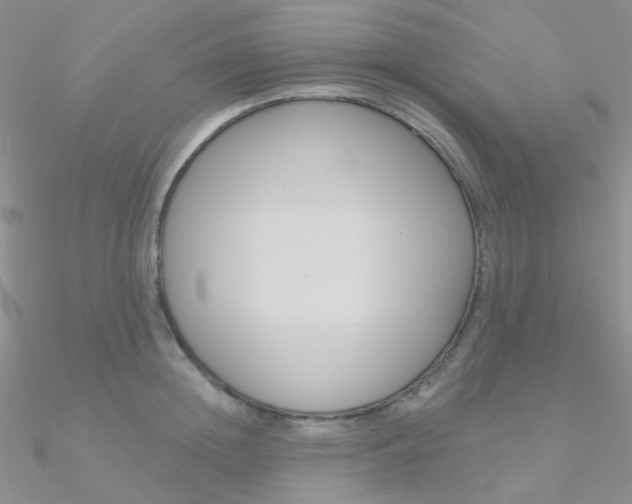 X0000090970852200708021141