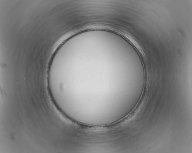 X0000090970853200708021141