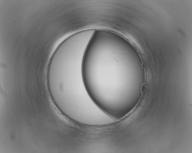 X0000090970854200708021141