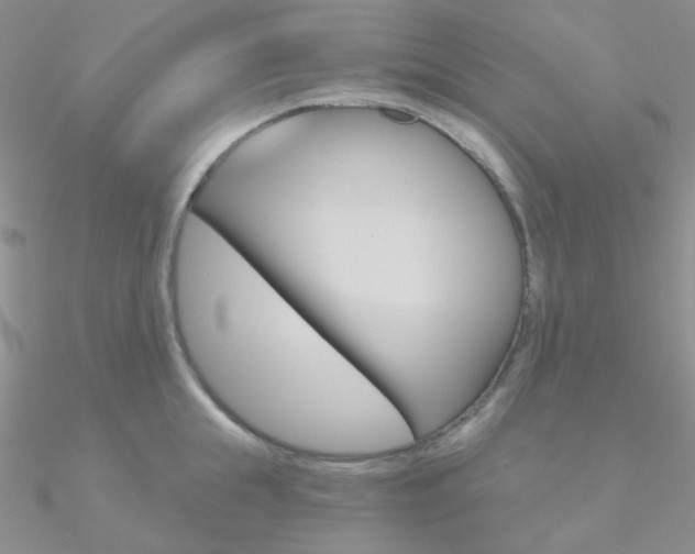 X0000090970855200708021141