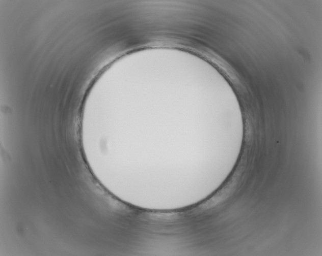 X0000090970856200708021141