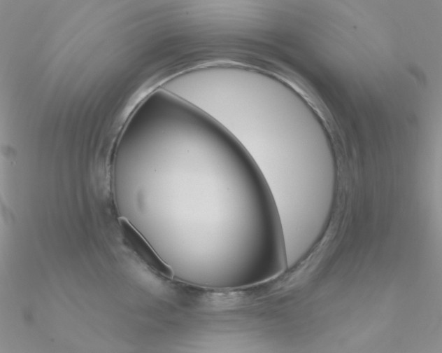X0000090970858200708021141