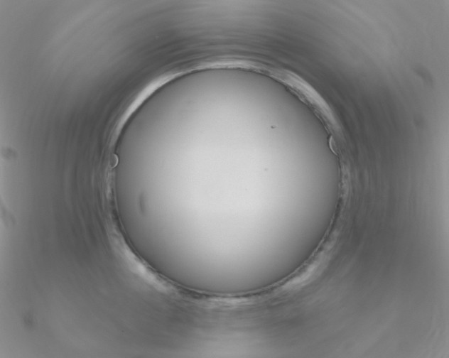 X0000090970860200708021141