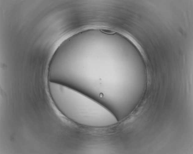 X0000090970861200708021141