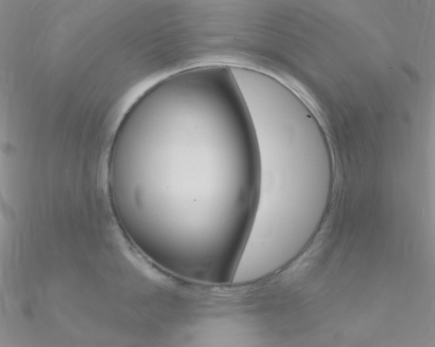 X0000090970862200708021141