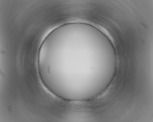 X0000090970863200708021141