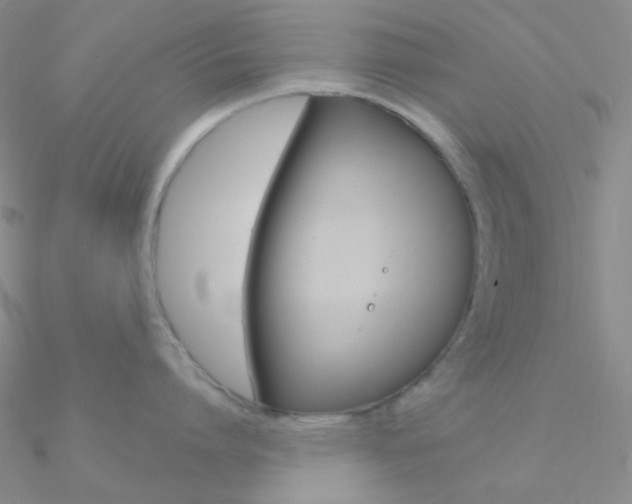 X0000090970864200708021141
