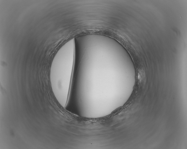 X0000090970867200708021140