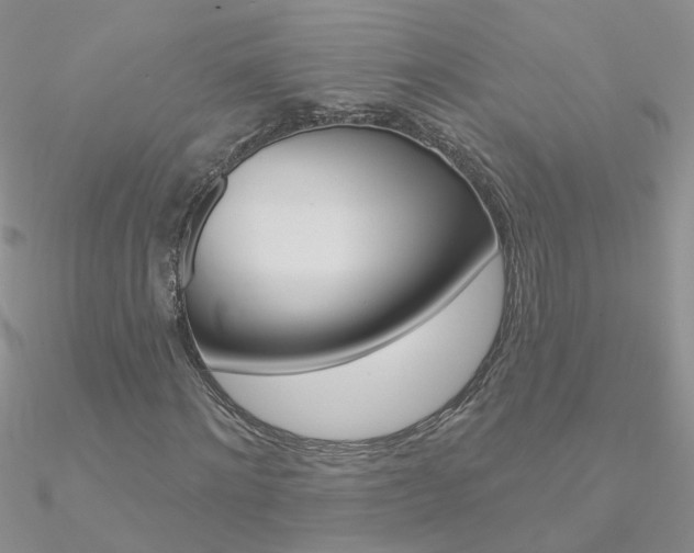 X0000090970868200708021140