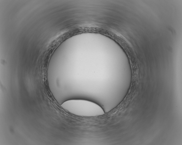 X0000090970870200708021140