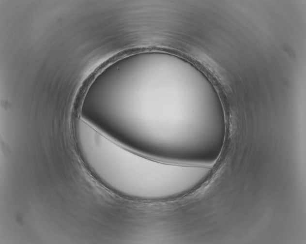 X0000090970876200708021140