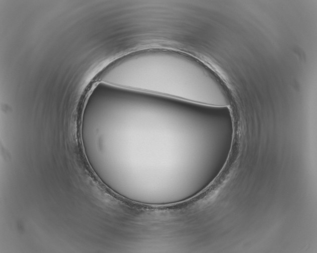 X0000090970877200708021140