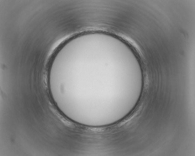 X0000090970878200708021140