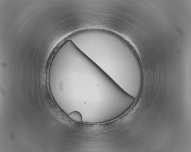 X0000090970879200708021140