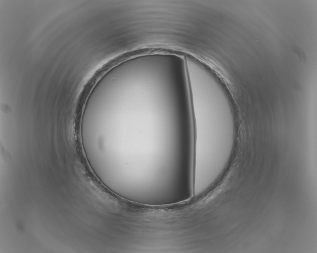 X0000090970880200708021140