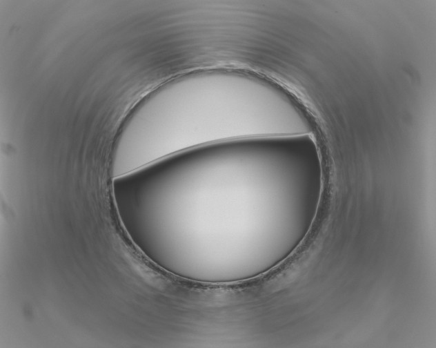 X0000090970881200708021140