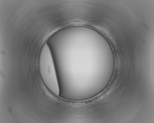 X0000090970889200708021140