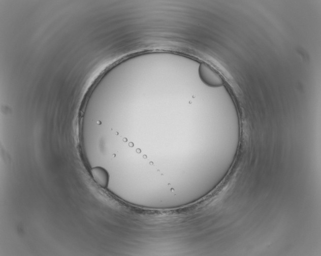 X0000090970891200708021140