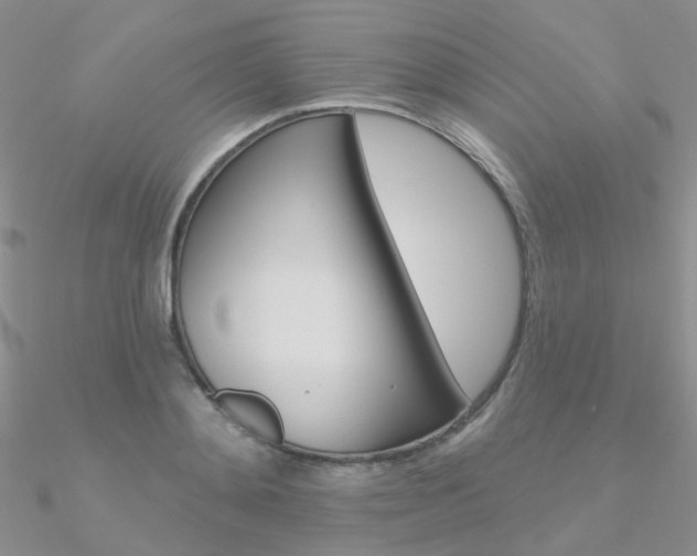 X0000090970892200708021140