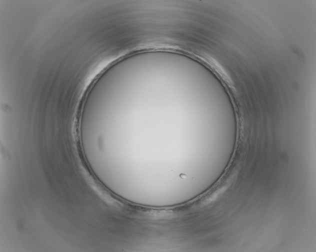 X0000090970893200708021140