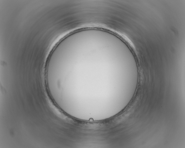 X0000090970895200708021140