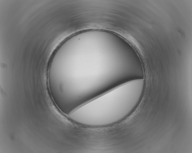 X0000090970896200708021140