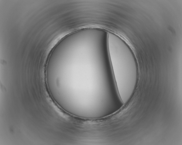 X0000090970898200708021140