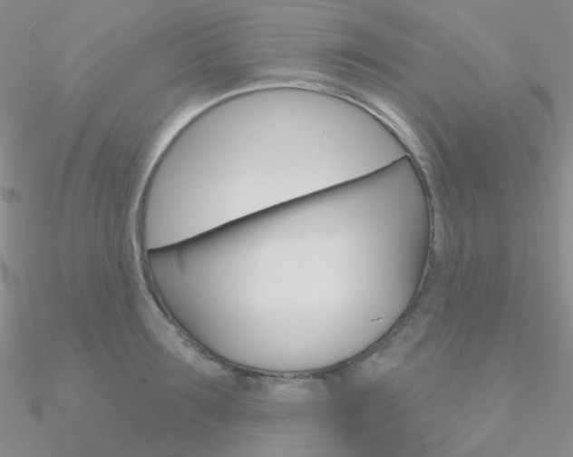 X0000090970899200708021140