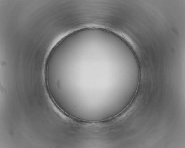 X0000090970902200708021140
