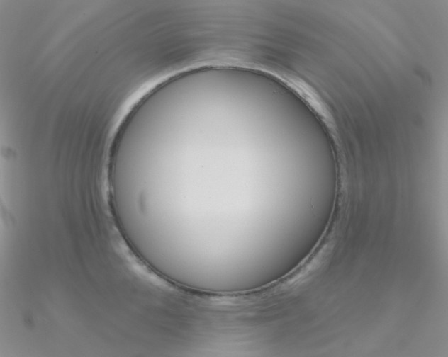 X0000090970904200708021140