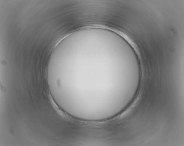 X0000090970905200708021140