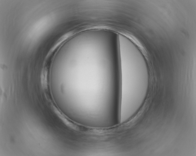 X0000090970910200708021140