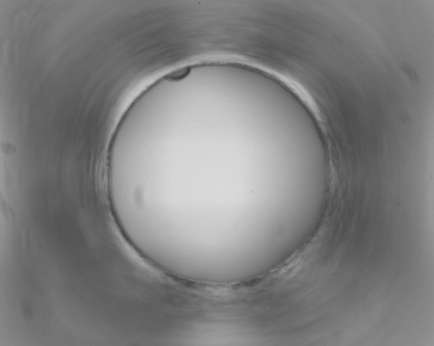 X0000090970911200708021140