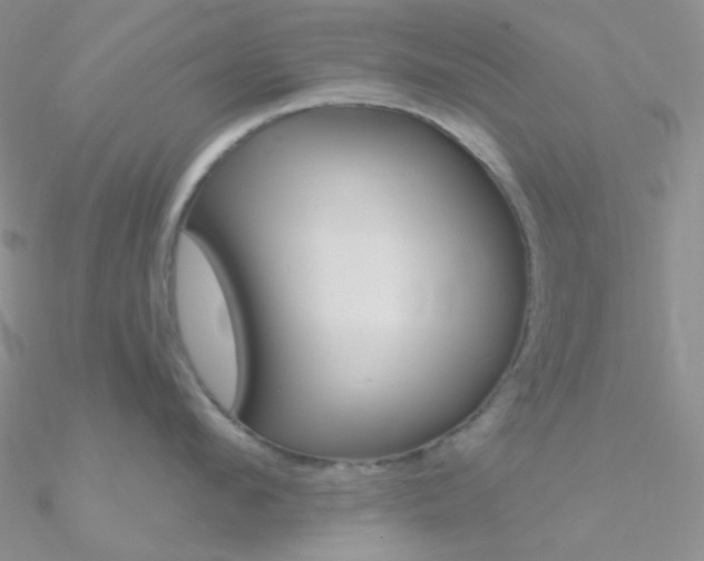 X0000090970912200708021140