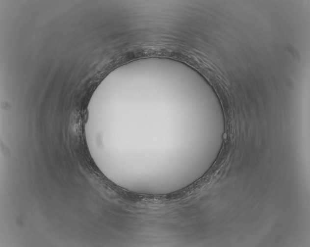X0000090970914200708021139