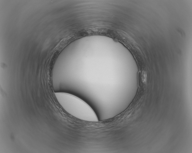 X0000090970915200708021139